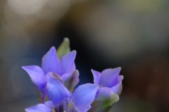 045