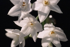 046