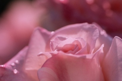 064
