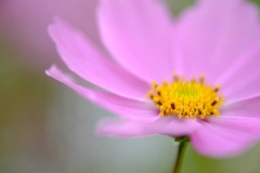 089