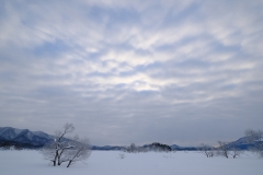 DSCF0106