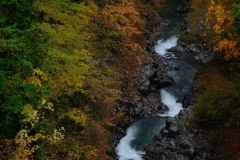 DSCF0166
