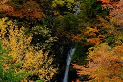DSCF0177