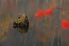 DSCF0182