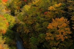 DSCF0331-2-min