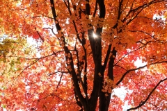 DSCF0435-min