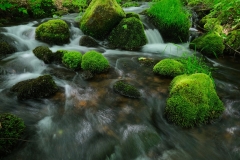 DSCF0459