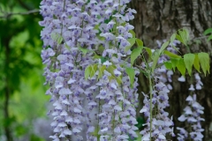 DSCF0462