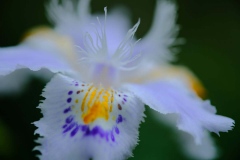 DSCF0891