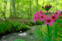 DSCF1571