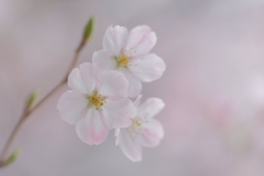 DSCF2041-min