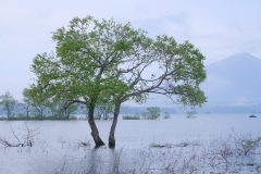 DSCF6015