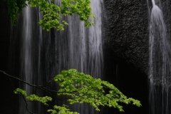 DSCF6077
