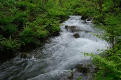 DSCF61534