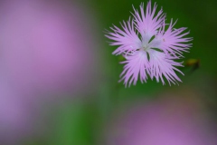 DSCF6197-2