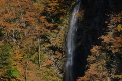 DSCF6388-2