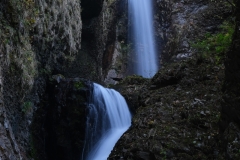 DSCF6390-2