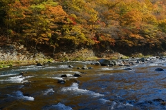 DSCF6391