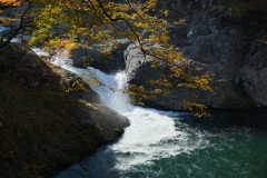 DSCF6392