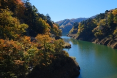 DSCF6396