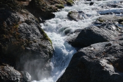 DSCF6401-2