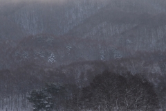 DSCF6618