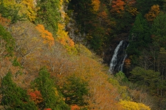 DSCF7470