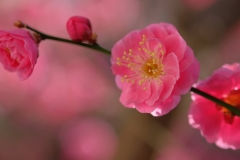 DSCF8549-1-min
