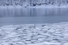 DSCF9029