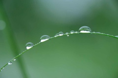 DSCF9669