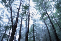 IMG-0013