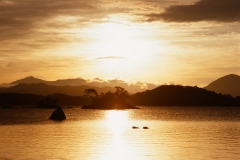 IMG-0027r